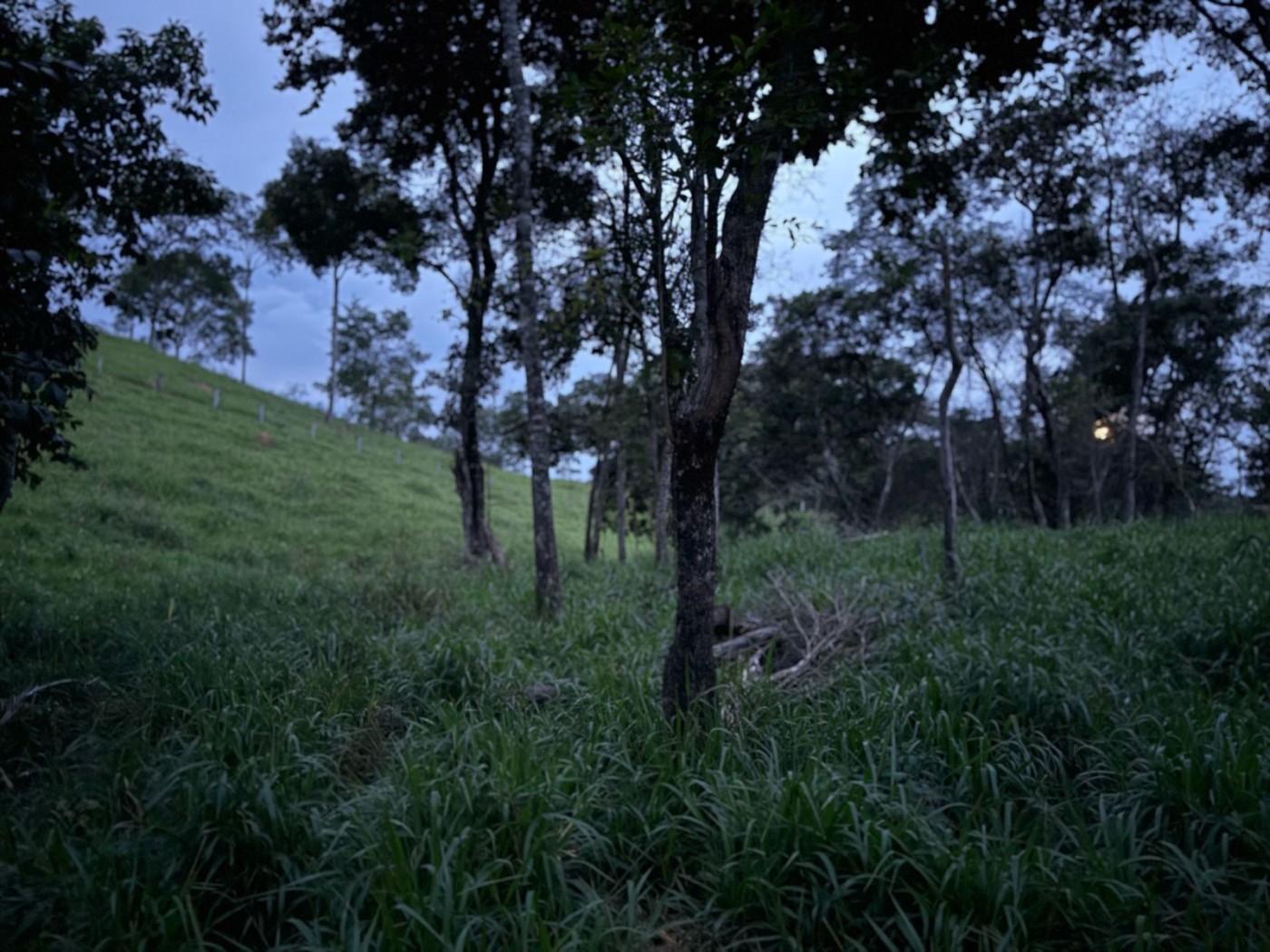 Sítio, 2 quartos, 7 hectares - Foto 12