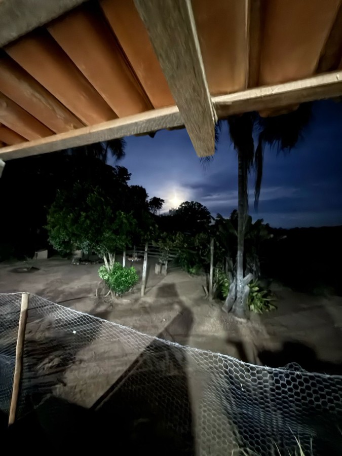 Sítio, 2 quartos, 7 hectares - Foto 22