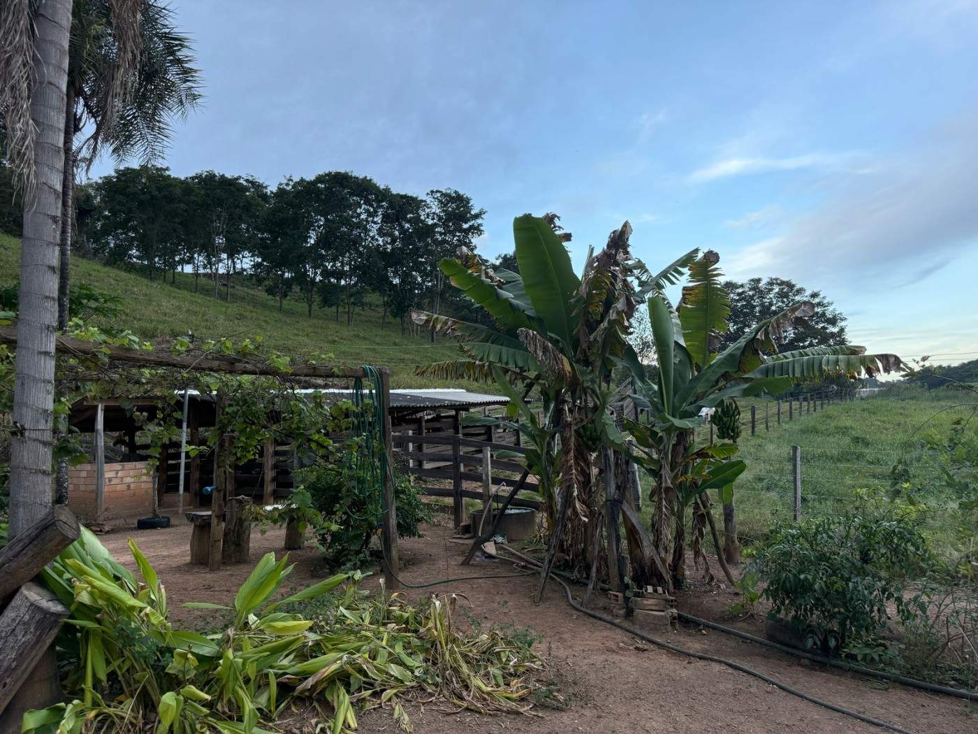 Sítio, 2 quartos, 7 hectares - Foto 5