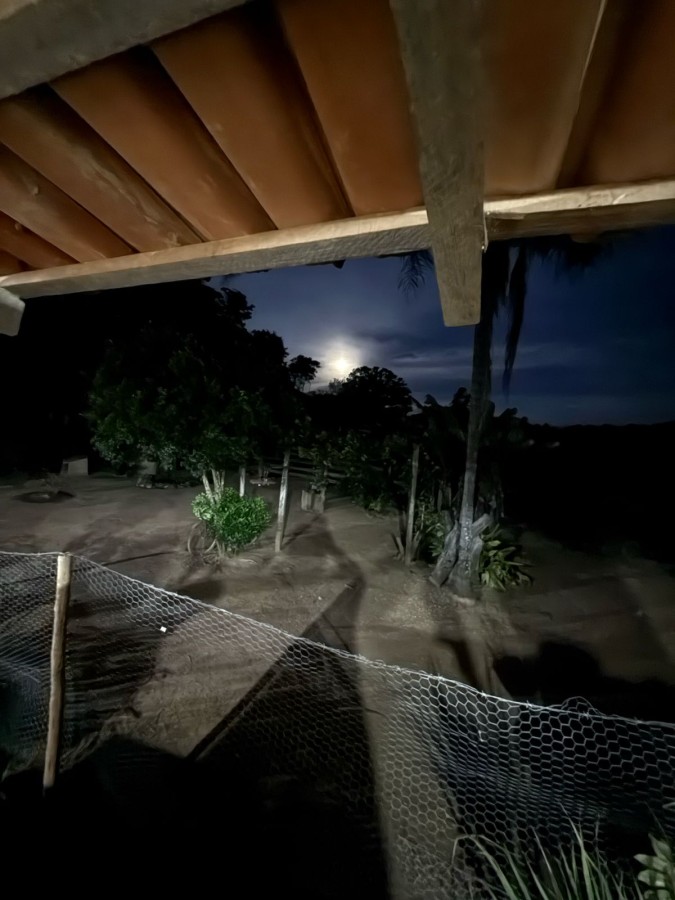 Sítio, 2 quartos, 7 hectares - Foto 10