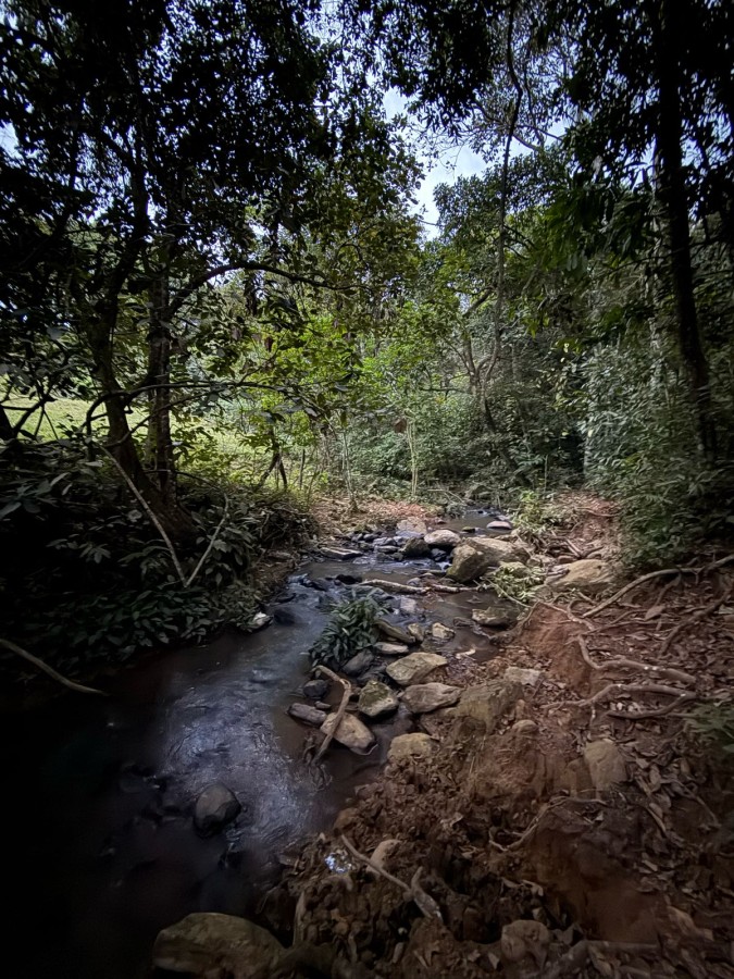 Sítio, 2 quartos, 7 hectares - Foto 16