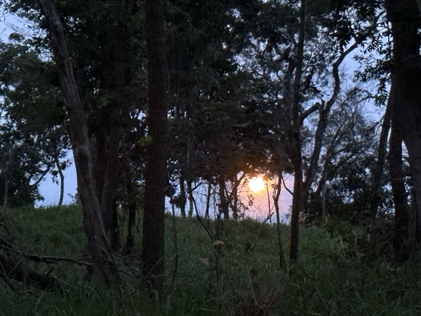 Sítio, 2 quartos, 7 hectares - Foto 21