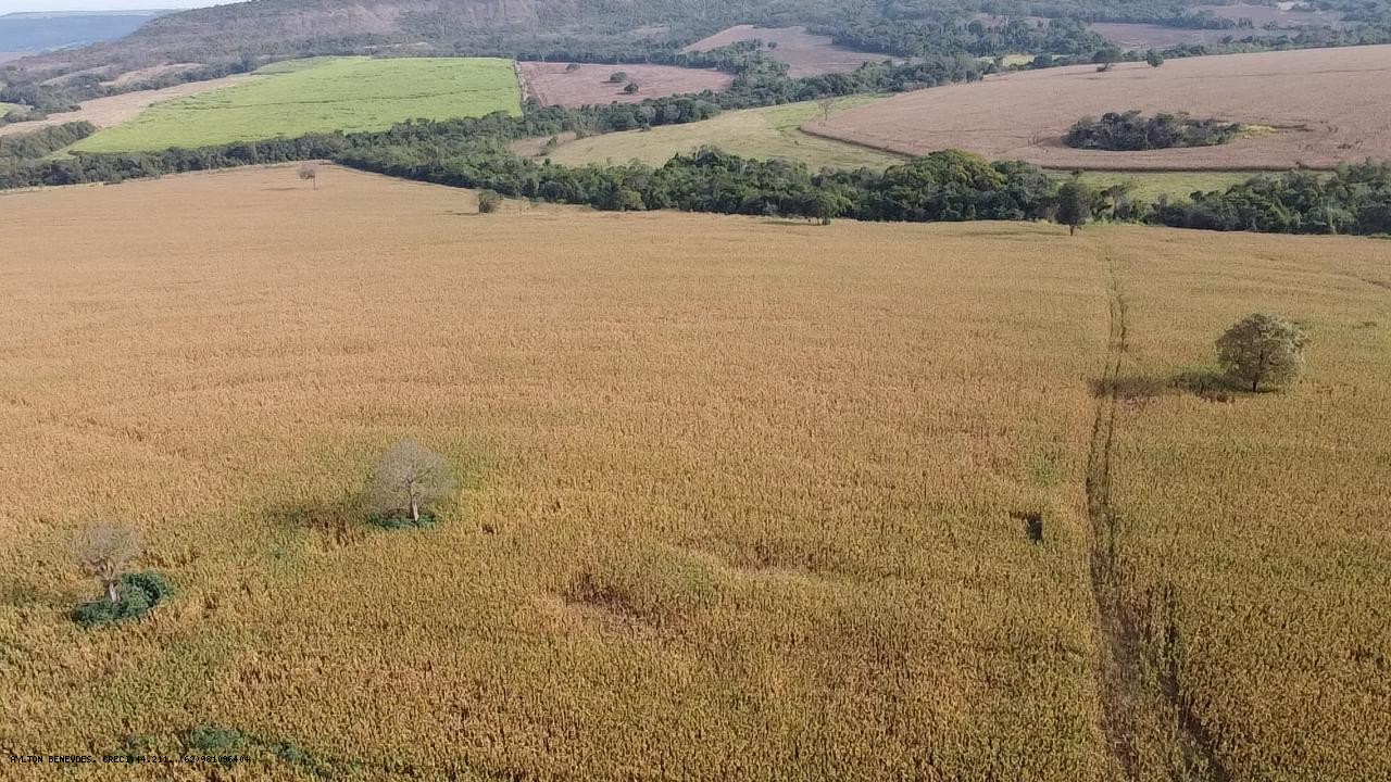 Fazenda, 252 hectares - Foto 4
