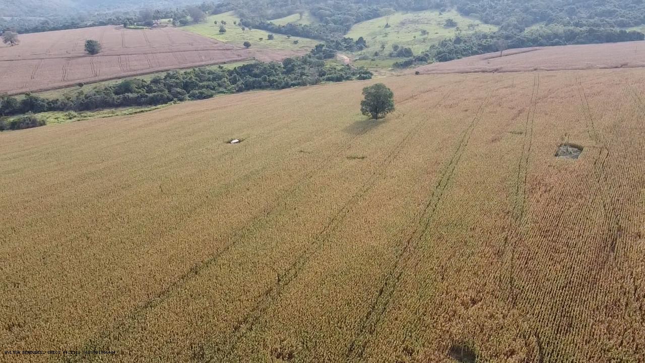 Fazenda, 252 hectares - Foto 2