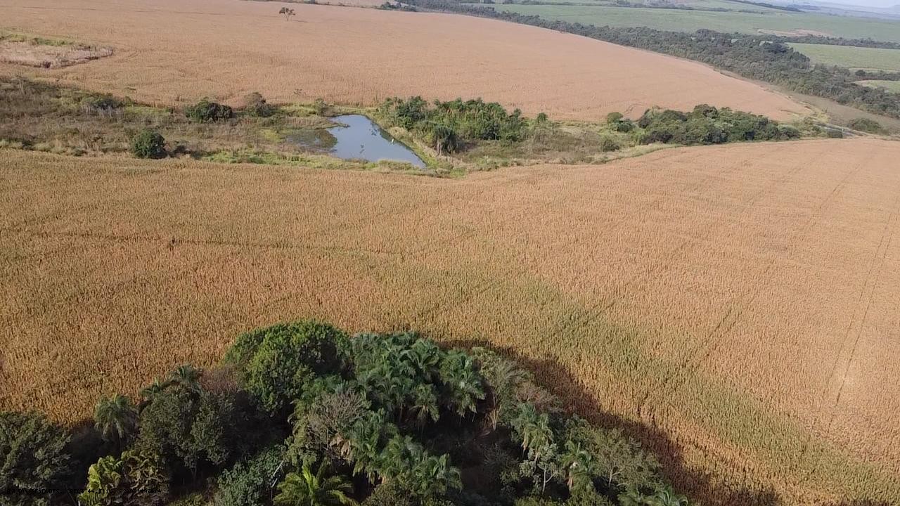 Fazenda, 252 hectares - Foto 7