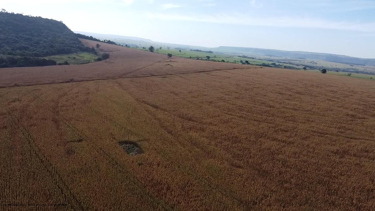 Fazenda, 252 hectares - Foto 8