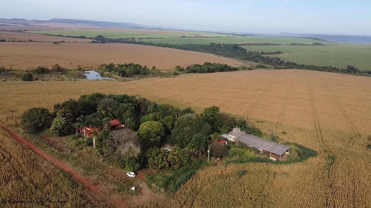 Fazenda, 252 hectares - Foto 6