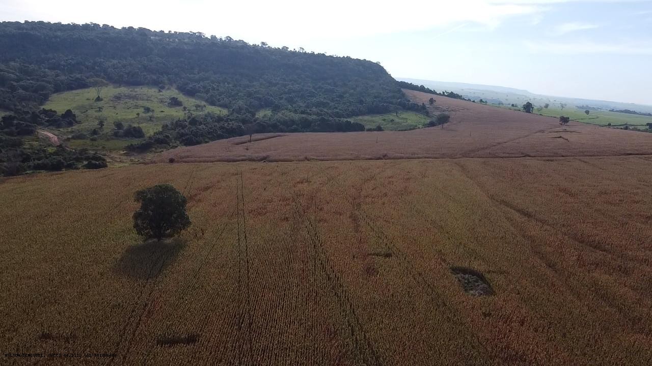 Fazenda, 252 hectares - Foto 9