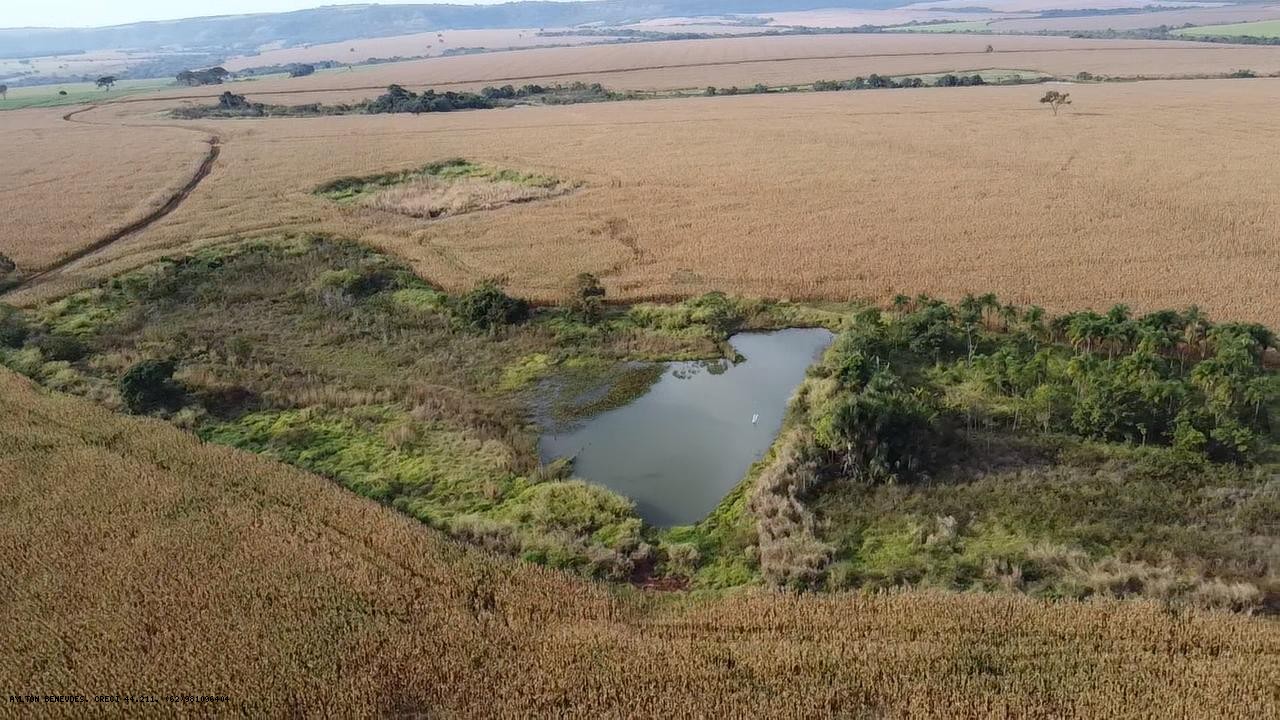 Fazenda, 252 hectares - Foto 13
