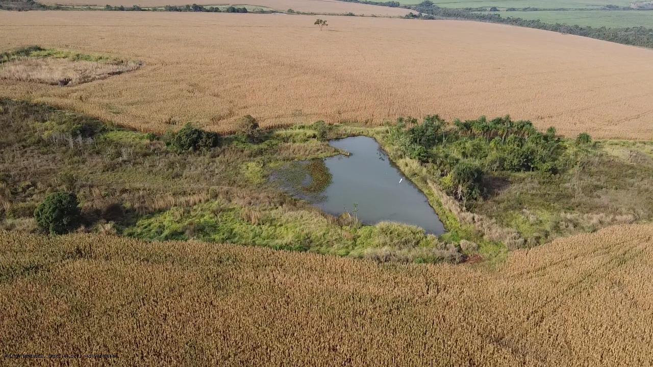 Fazenda, 252 hectares - Foto 11