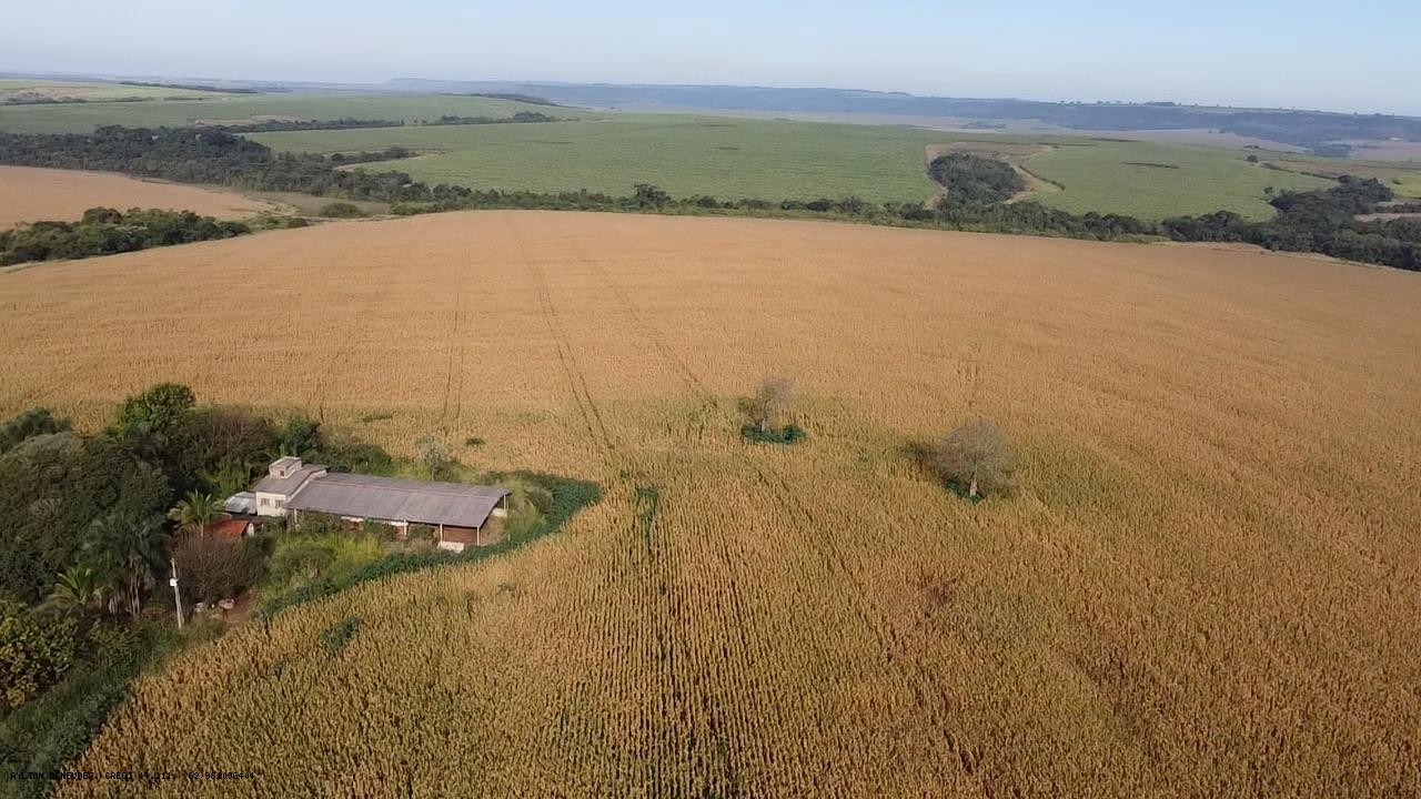 Fazenda, 252 hectares - Foto 10