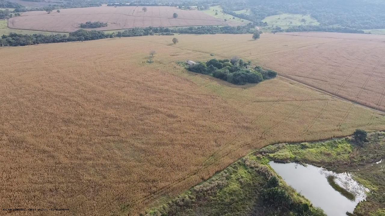 Fazenda, 252 hectares - Foto 12