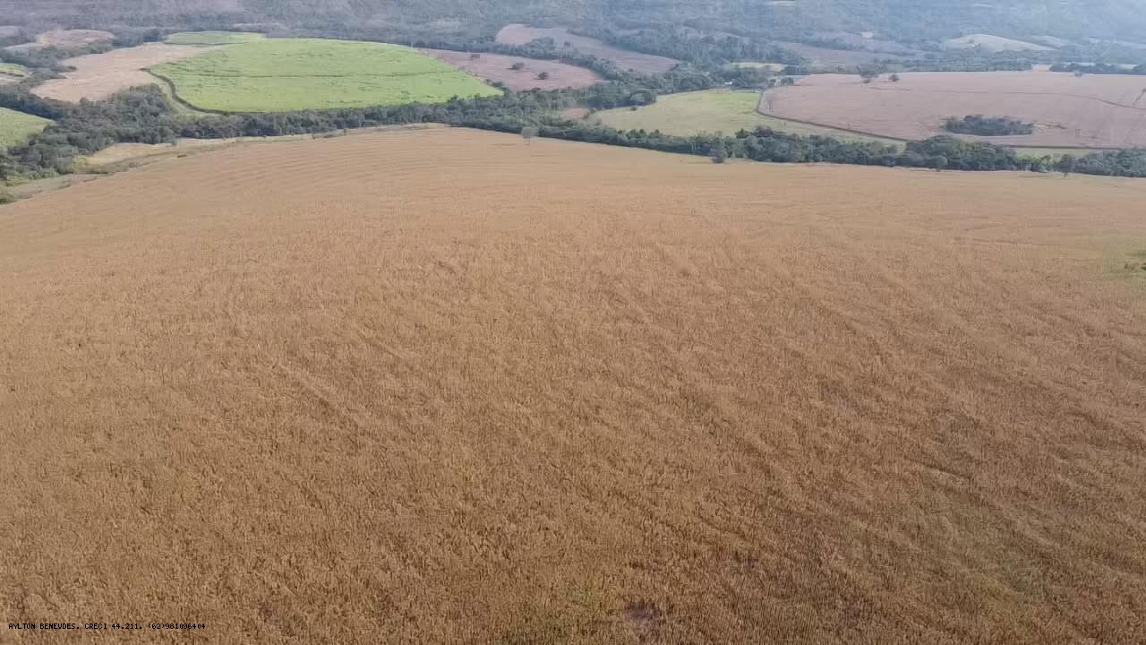 Fazenda, 252 hectares - Foto 16