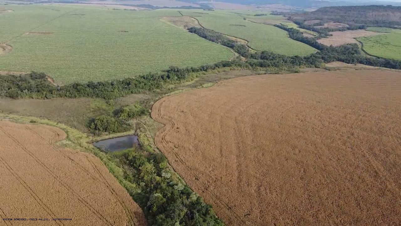 Fazenda, 252 hectares - Foto 15