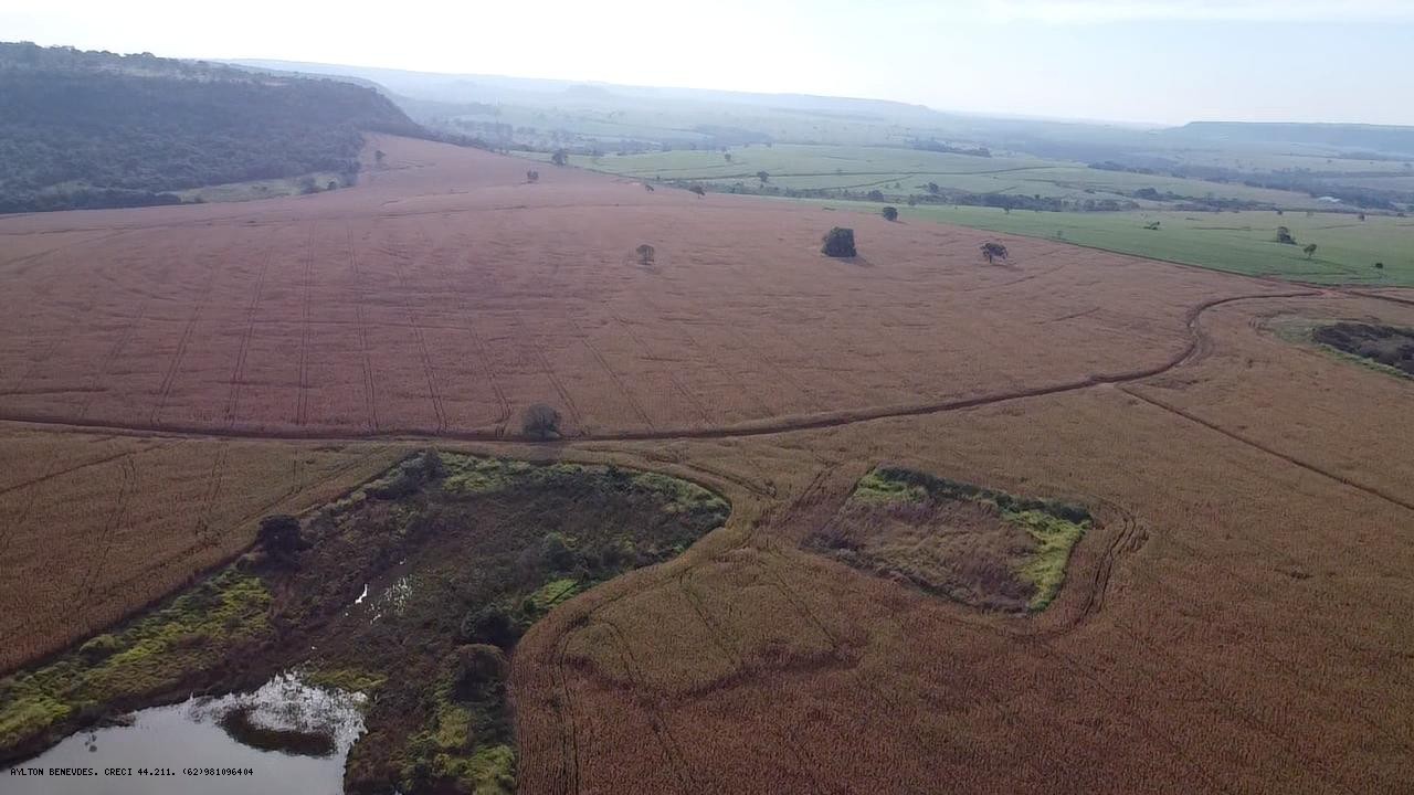Fazenda, 252 hectares - Foto 17