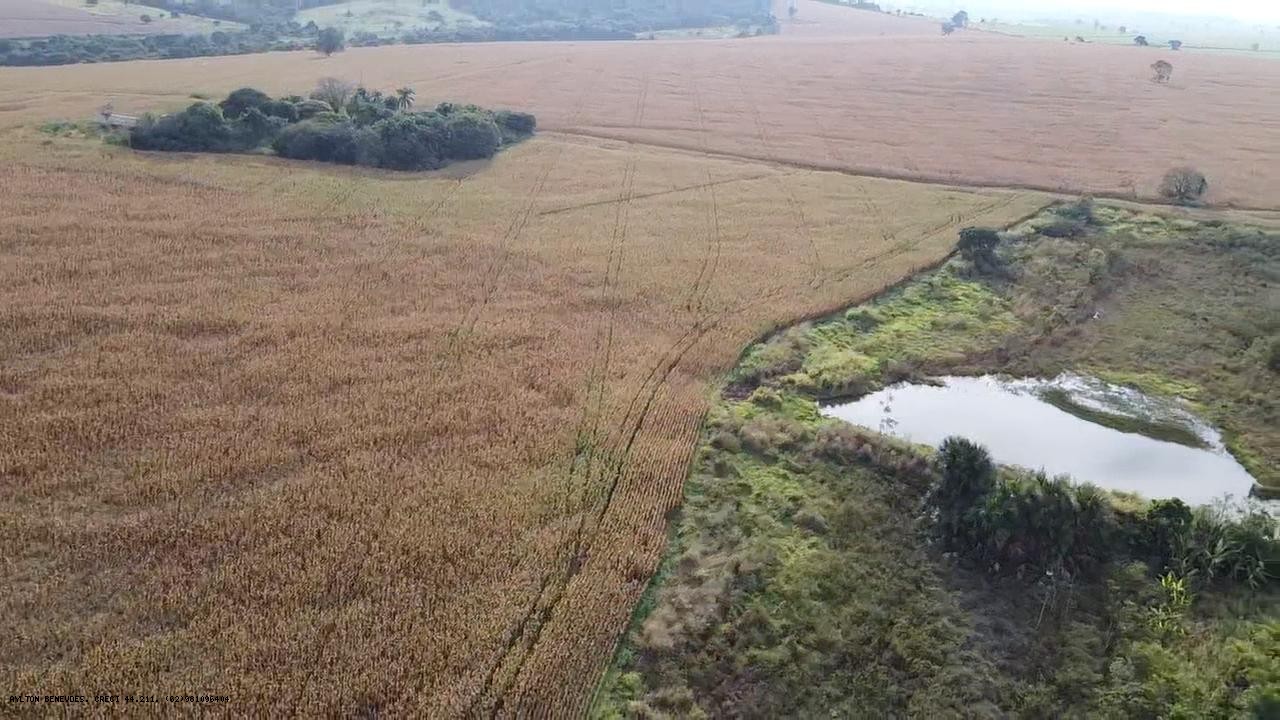 Fazenda, 252 hectares - Foto 14
