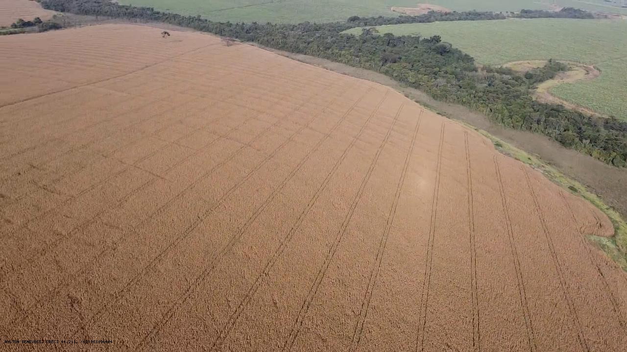 Fazenda, 252 hectares - Foto 20