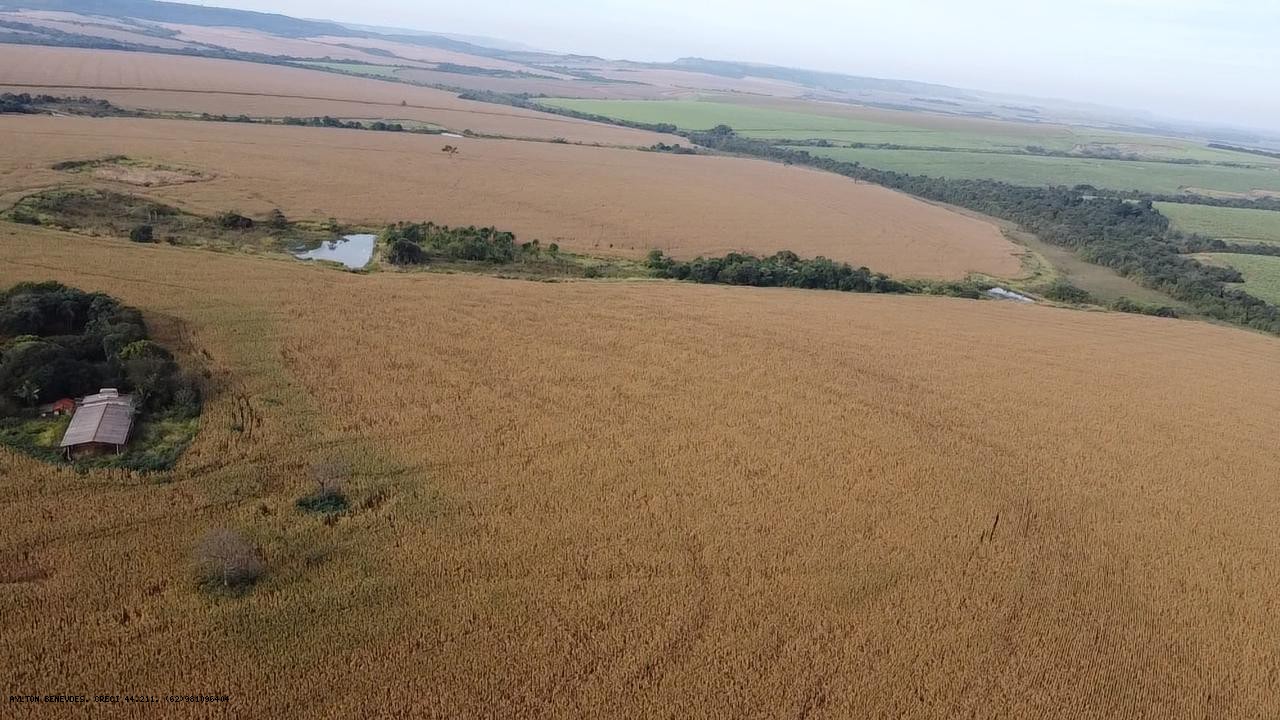 Fazenda, 252 hectares - Foto 21