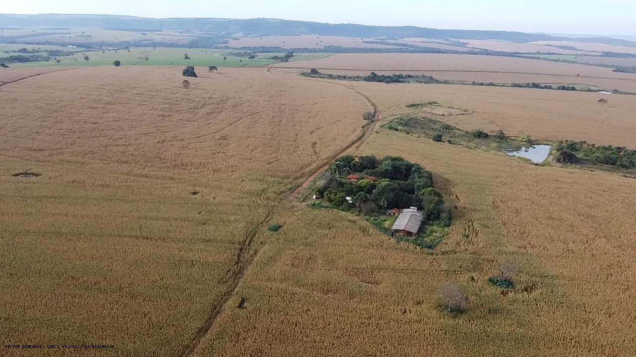 Fazenda, 252 hectares - Foto 19