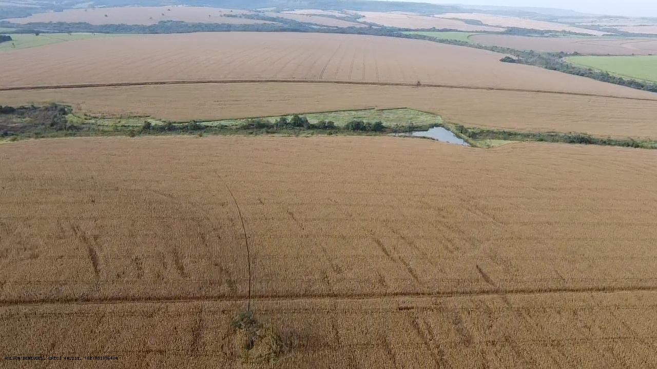 Fazenda, 252 hectares - Foto 18