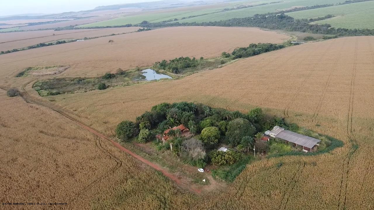 Fazenda, 252 hectares - Foto 22