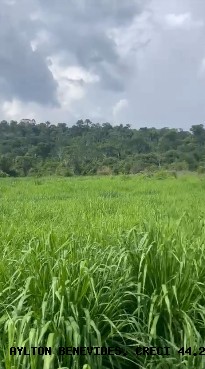 Fazenda, 45 m² - Foto 1