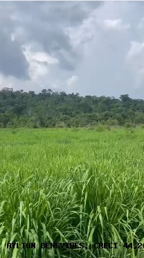 Fazenda, 45 m² - Foto 3