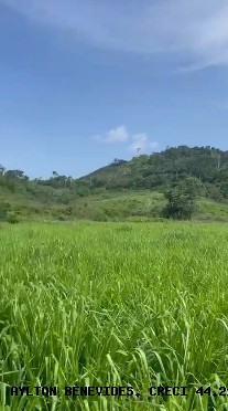 Fazenda, 45 m² - Foto 6