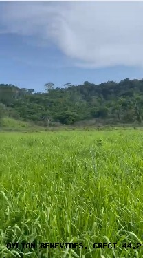 Fazenda, 45 m² - Foto 8