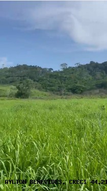 Fazenda, 45 m² - Foto 7