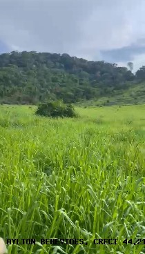 Fazenda, 45 m² - Foto 12