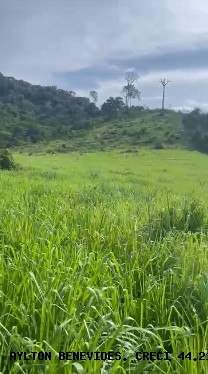 Fazenda, 45 m² - Foto 11