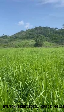 Fazenda, 45 m² - Foto 13