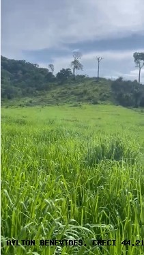 Fazenda, 45 m² - Foto 10