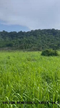 Fazenda, 45 m² - Foto 9