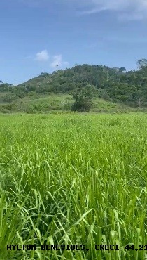 Fazenda, 45 m² - Foto 14