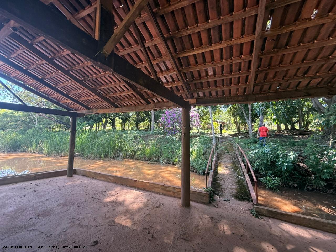 Chácara, 4 hectares - Foto 1