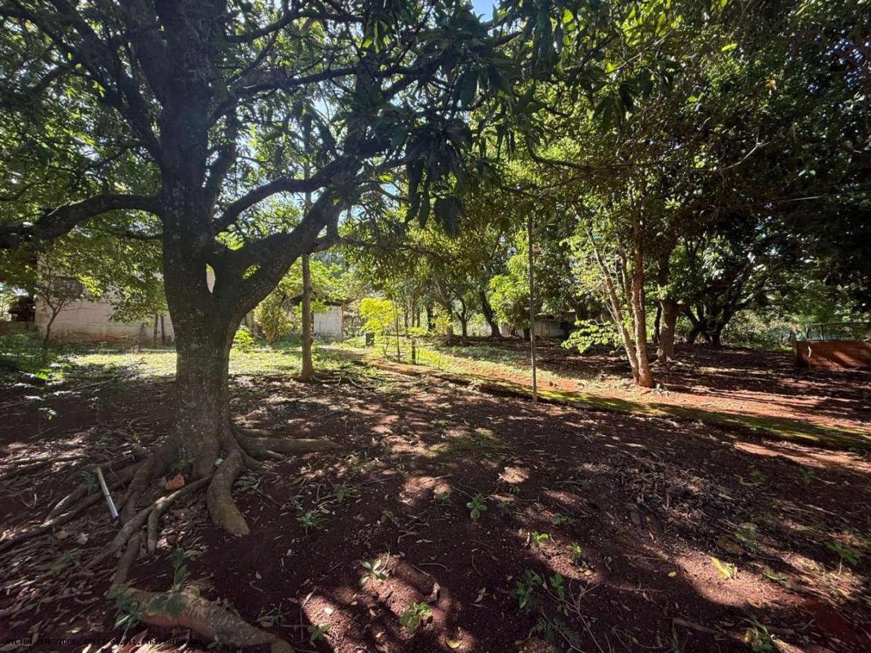 Chácara, 4 hectares - Foto 2