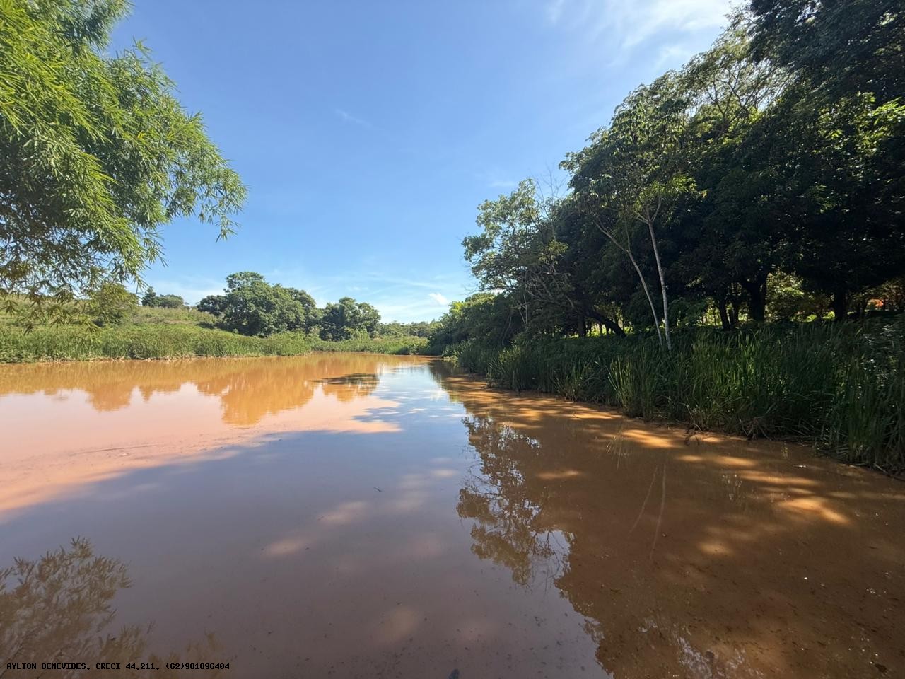 Chácara, 4 hectares - Foto 5