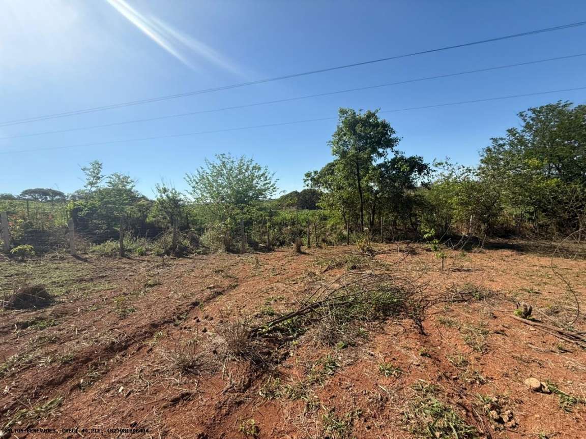 Chácara, 4 hectares - Foto 4