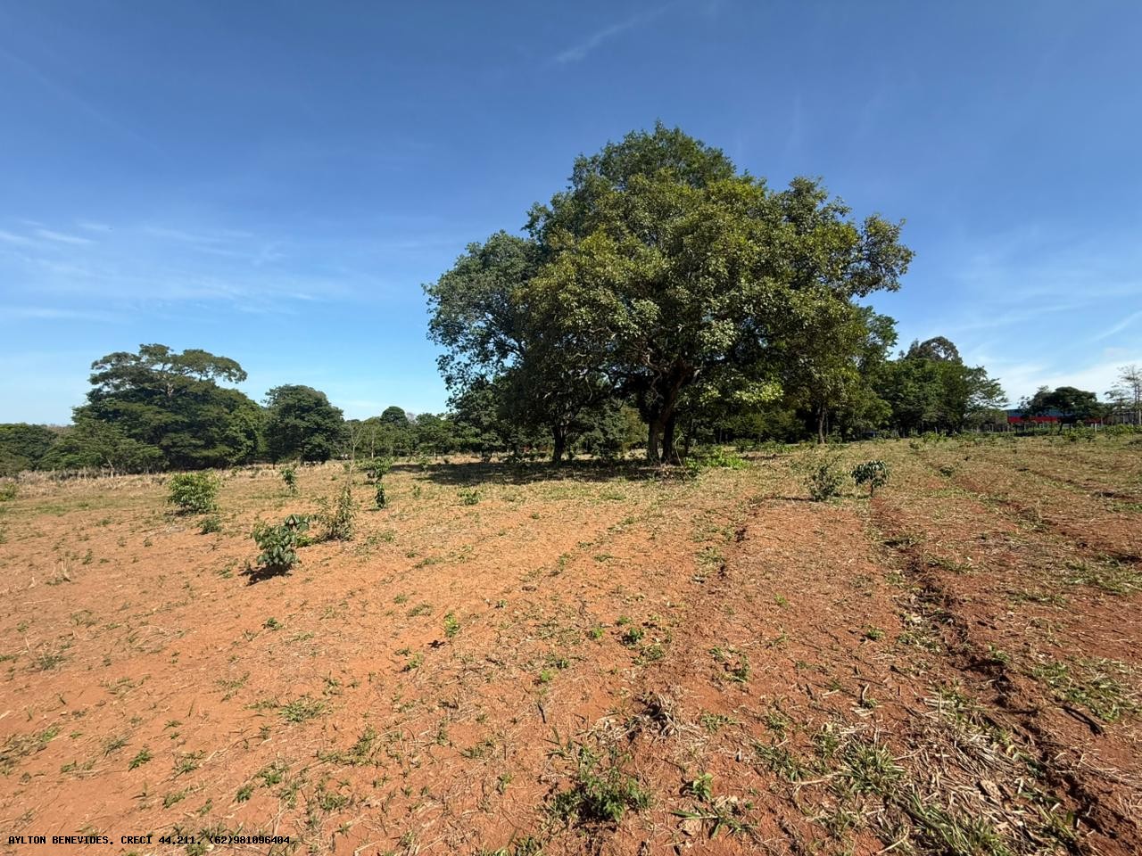 Chácara, 4 hectares - Foto 6