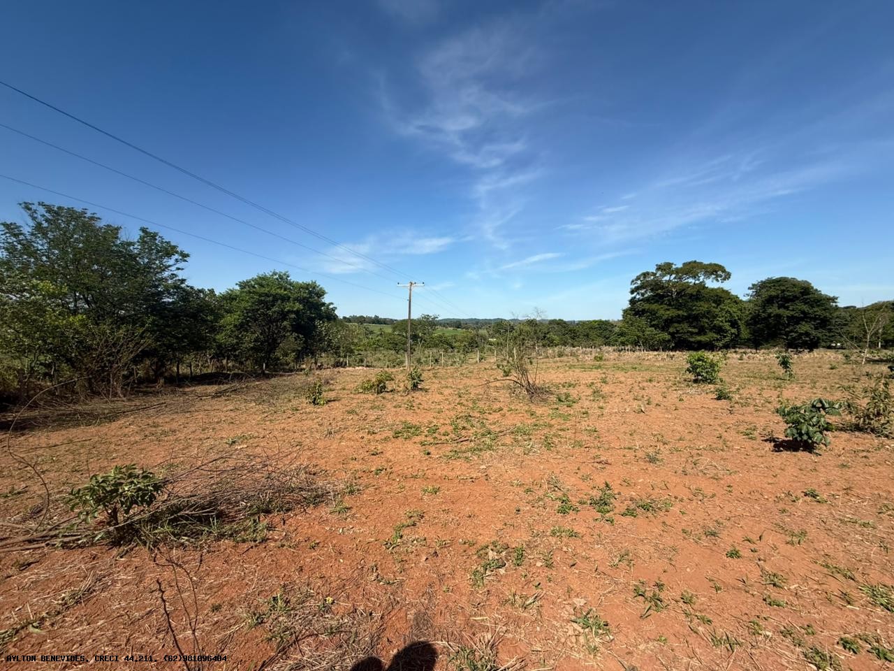 Chácara, 4 hectares - Foto 7