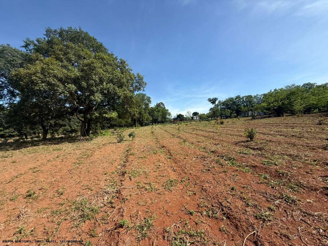 Chácara, 4 hectares - Foto 10