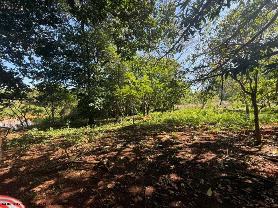 Chácara, 4 hectares - Foto 9