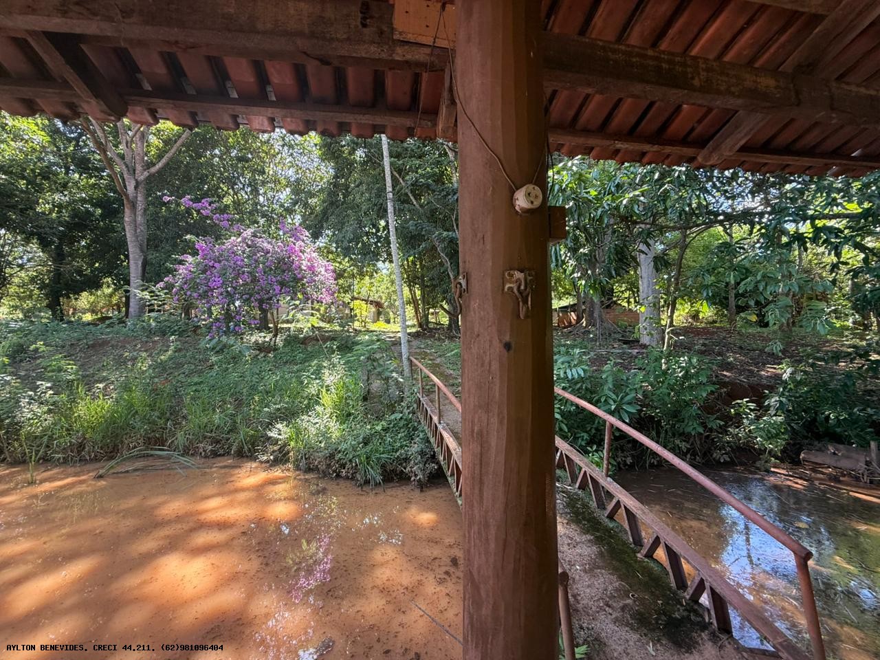 Chácara, 4 hectares - Foto 12