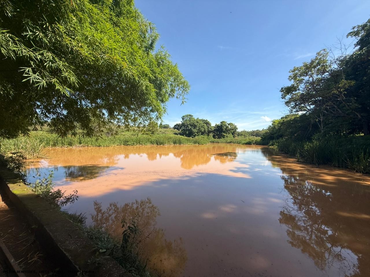 Chácara, 4 hectares - Foto 13