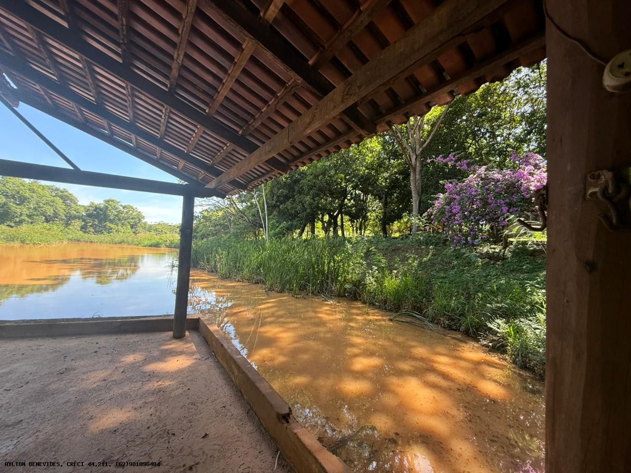 Chácara, 4 hectares - Foto 17