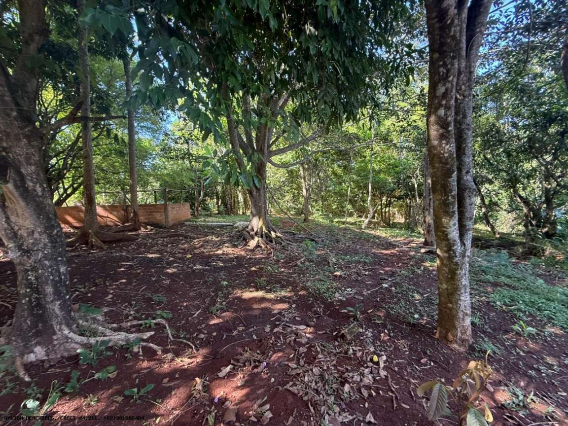 Chácara, 4 hectares - Foto 18