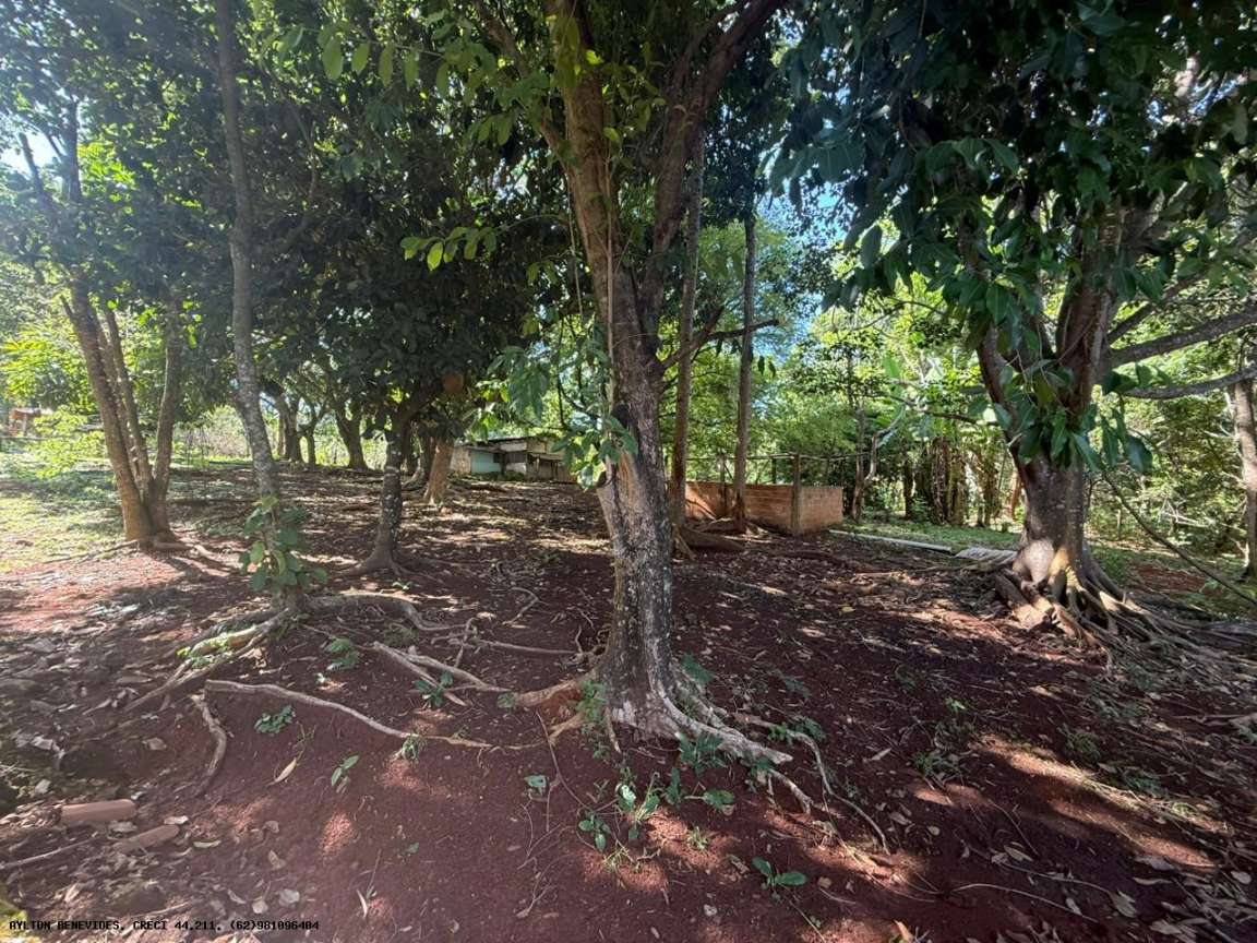 Chácara, 4 hectares - Foto 19