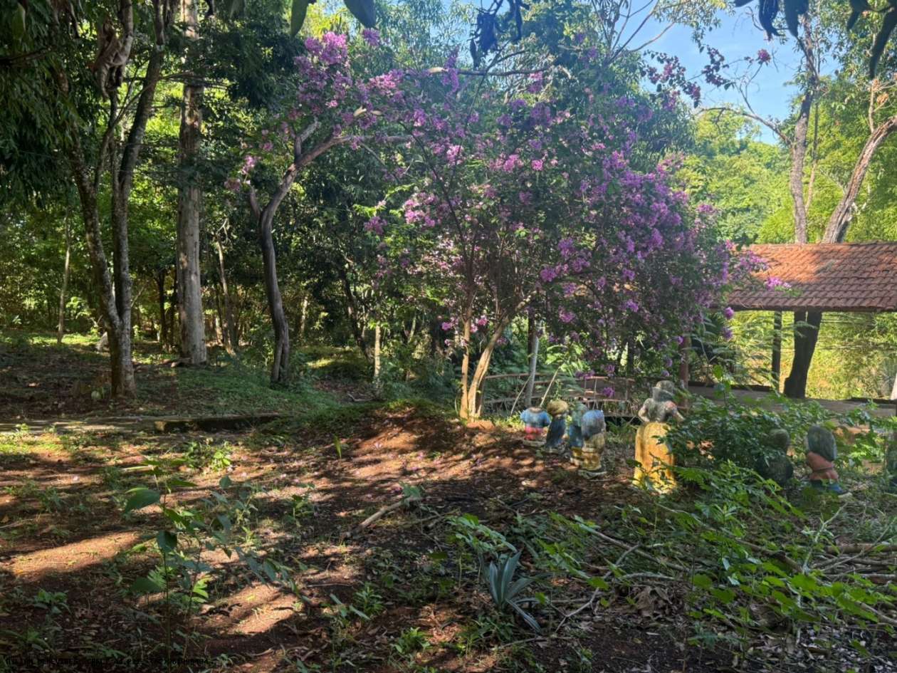 Chácara, 4 hectares - Foto 22